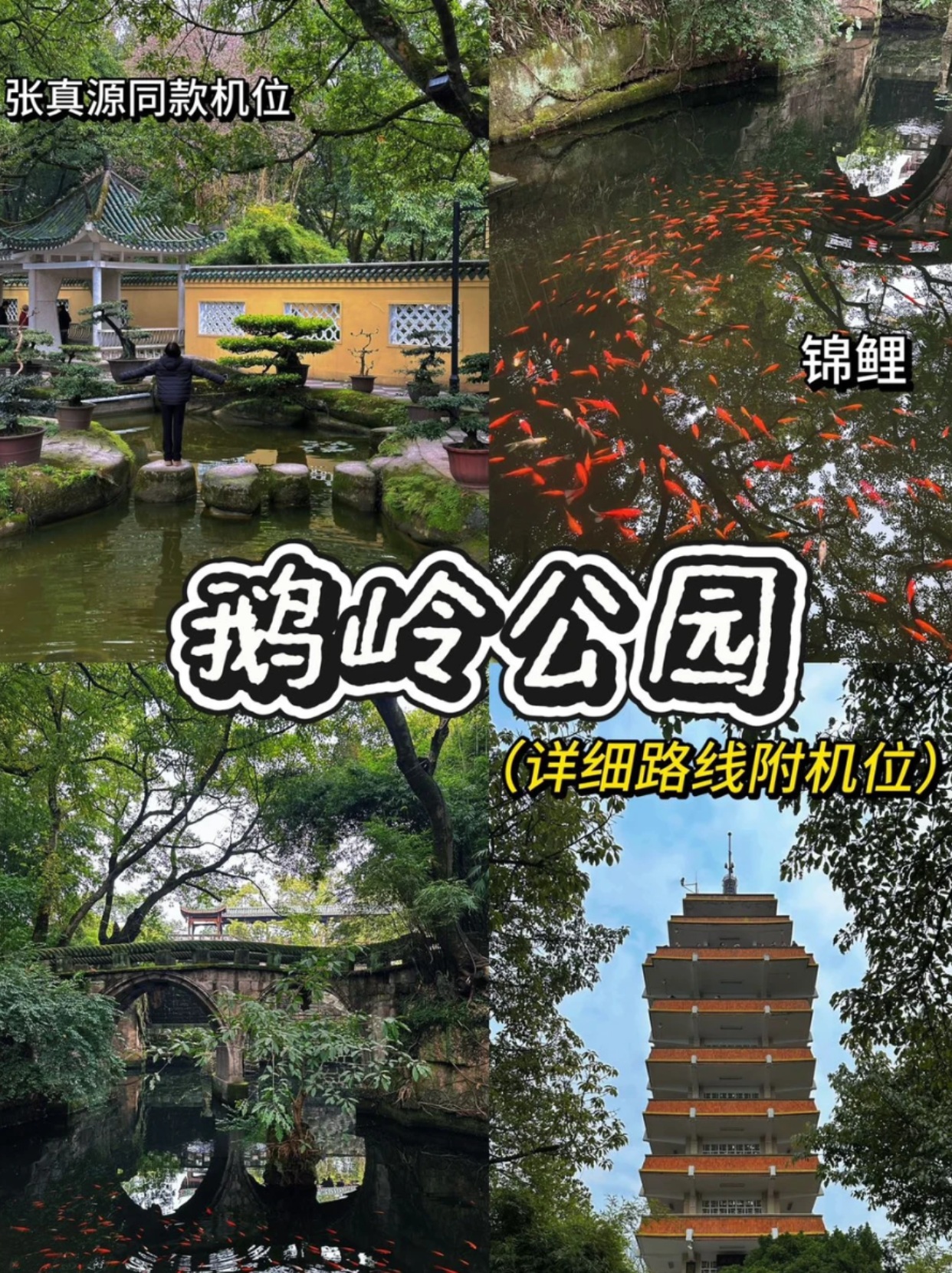 超级好看的鹅岭公园！