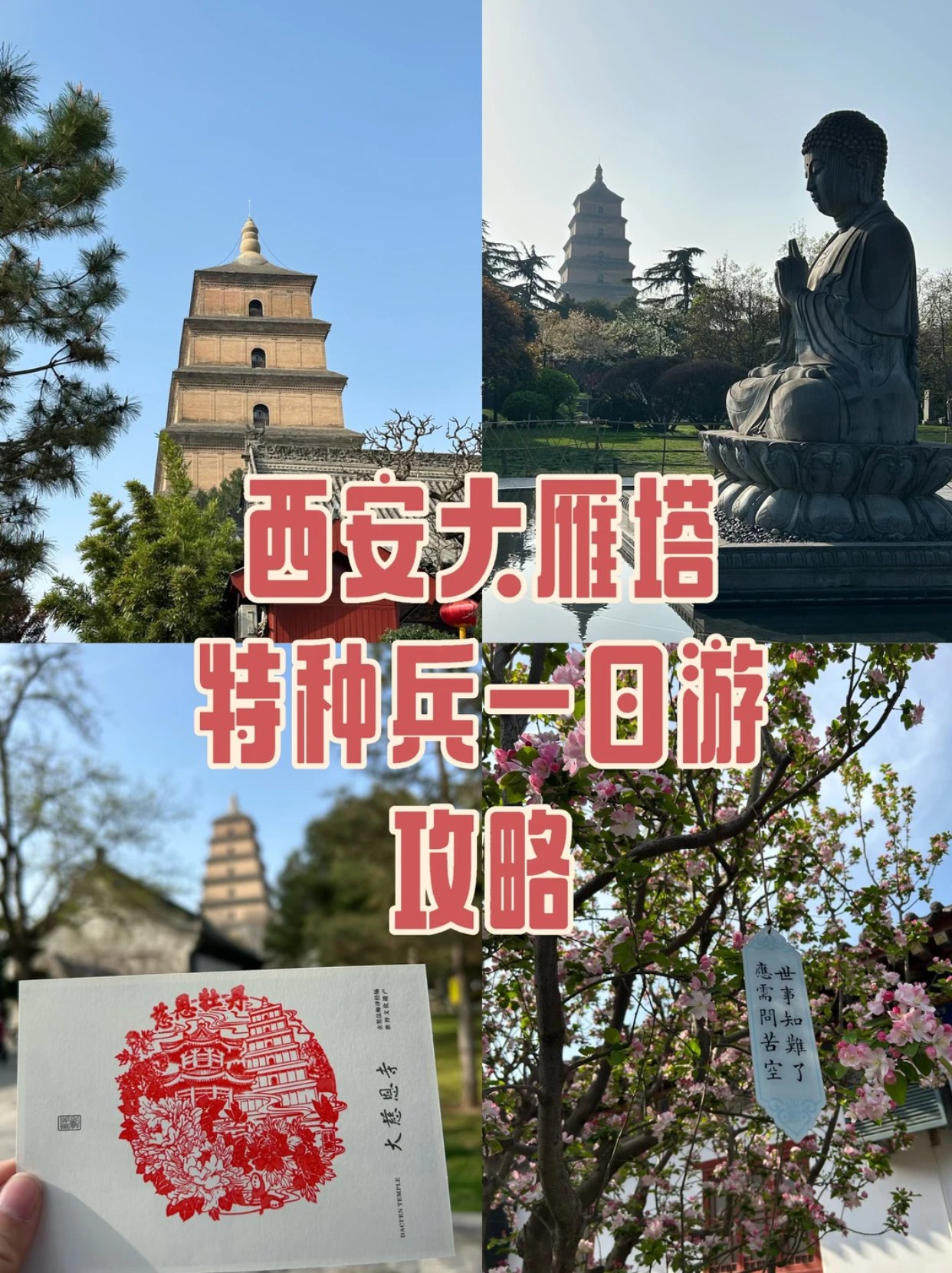 宝藏旅游景点——大雁塔！