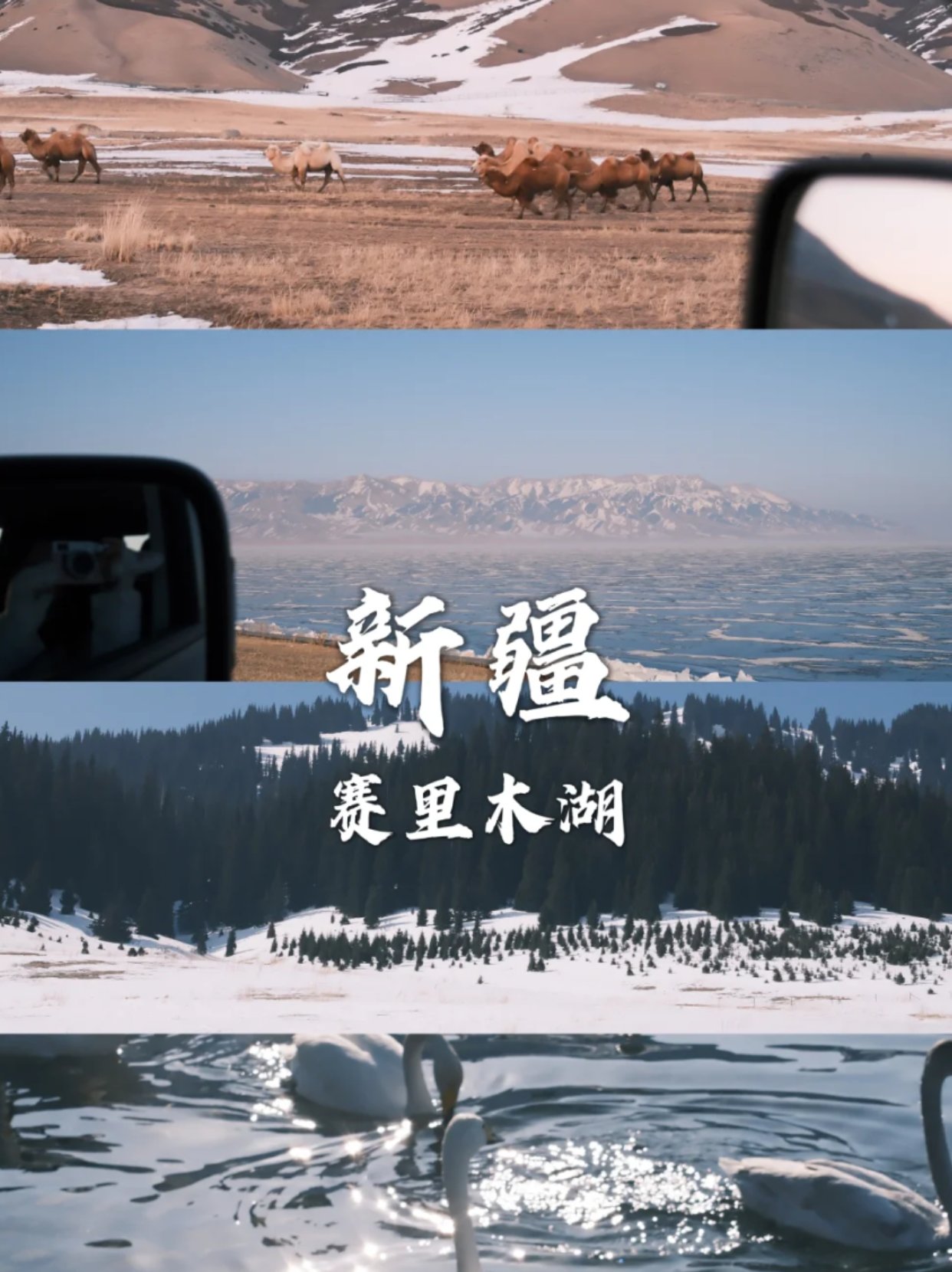 新疆赛里木湖保姆级攻略