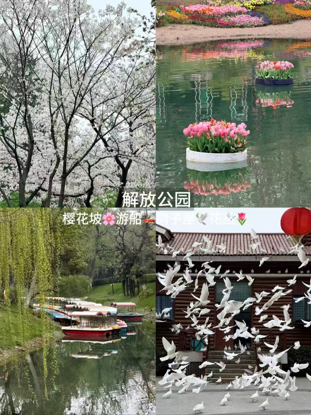 武汉三日松弛逛吃路线🌸早市 + 网红街区 + 公园美景全覆盖