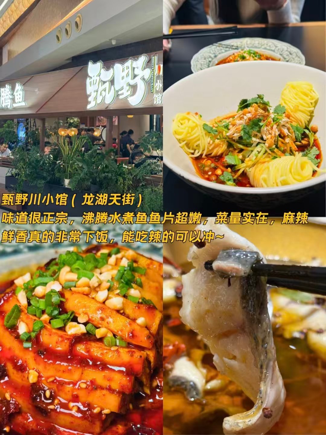 天津三家不同风味正餐美食完整介绍✨津味海鲜、地道川菜、平价家常盒饭