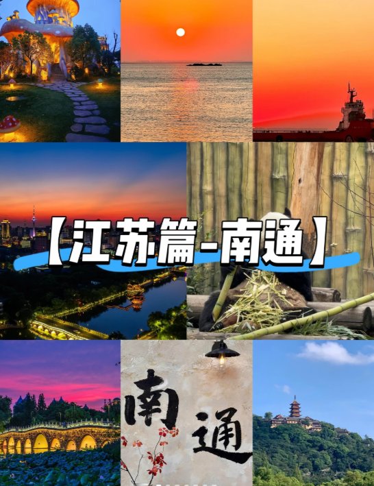 南通啬园🌻｜超大花海公园，四季赏花宝藏地
