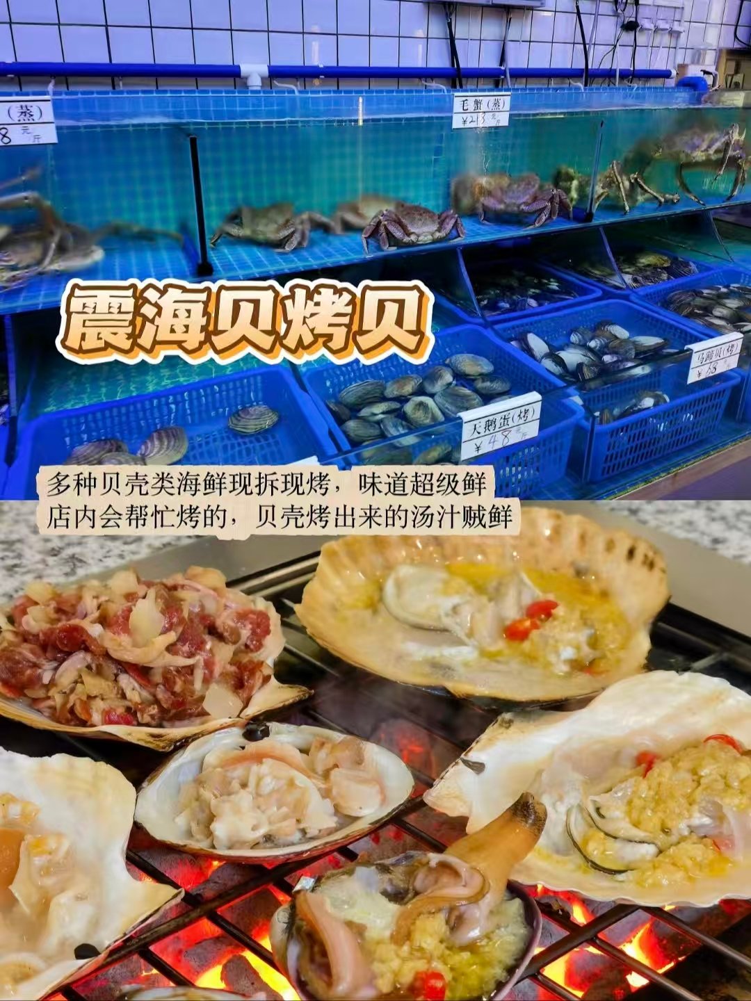 延吉海鲜 & 韩式简餐美食合集🦞从平价烤贝到豪华板蟹全覆盖
