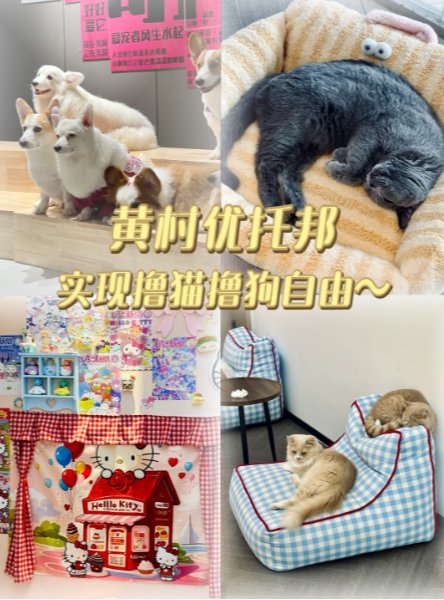 广州黄村宝藏全能萌宠馆🐹猫狗仓鼠一站式撸！少女心打卡圣地✨