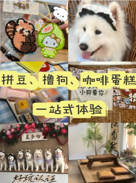 广州神仙宝藏复合体验馆🥳撸狗 + 拼豆手作 + 下午茶一站式解锁快乐✨
