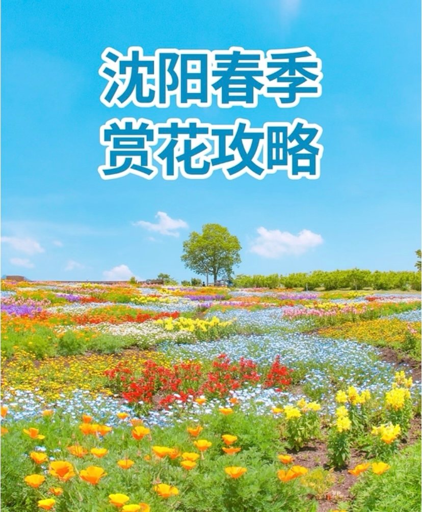劳动公园🌸｜城市花园·四季赏花
