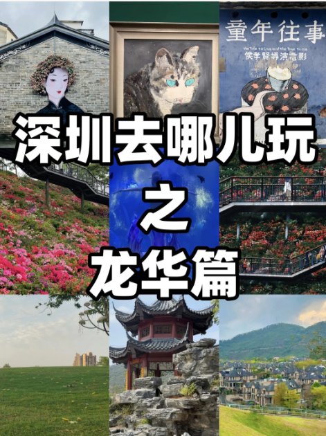 🌸深圳龙华宝藏游玩清单｜文艺 + 乐园 + 公园一站式打卡，逛玩一整天不重样✨