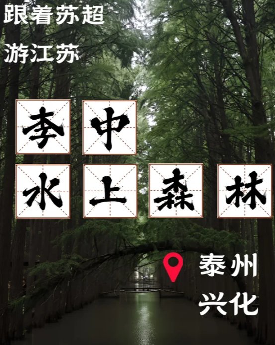 常州新龙生态林🌲｜华东超大森林，露营徒步天然氧吧