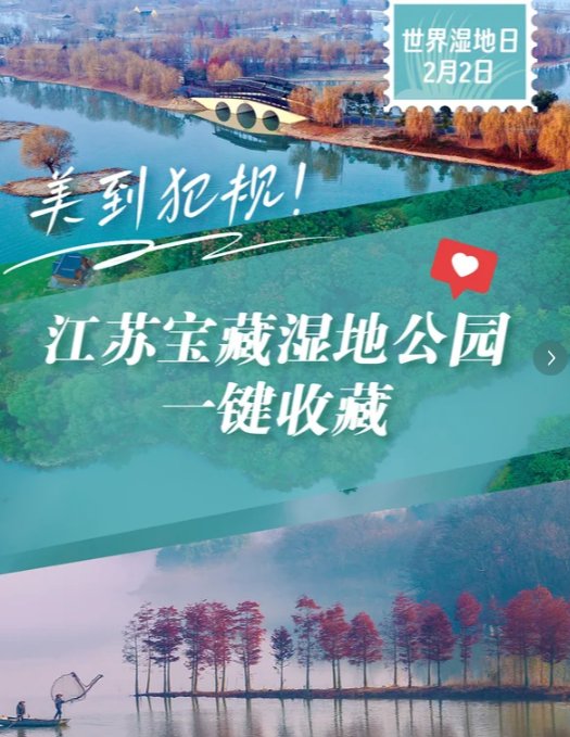 宿迁洪泽湖湿地🦢｜华东大湿地，观鸟赏湖秘境