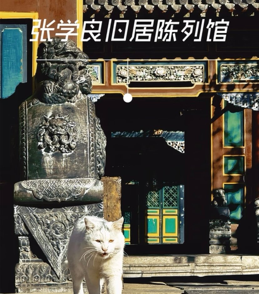 大帅府博物馆🏛️｜民国风云·文物荟萃