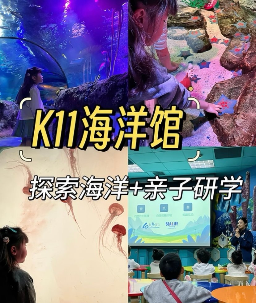 沈阳皇家海洋乐园🐬｜海洋奇缘·亲子游玩