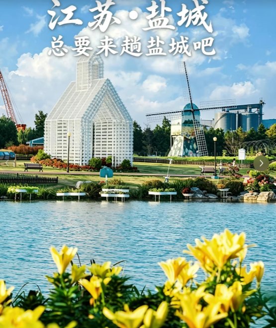 南通啬园🌻｜超大花海公园，四季赏花宝藏地