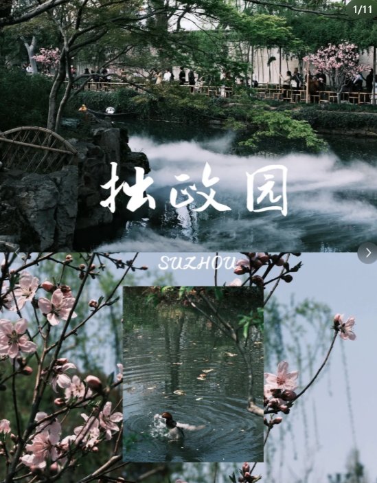 苏州拙政园西园🌸｜人少景美，独享园林静谧时光