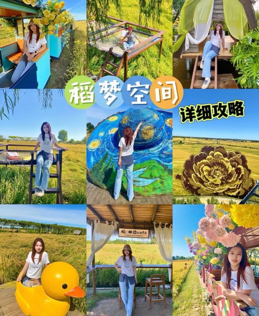 稻梦空间🌾｜金色稻田·童话世界
