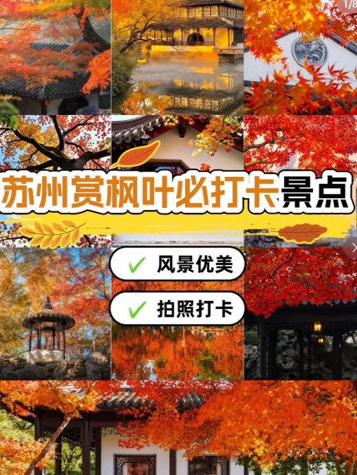 苏州天平山🍁｜江南赏枫胜地，秋日限定绝美红枫