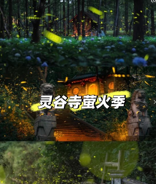 南京灵谷寺🌿｜夏日萤火虫秘境，古寺清幽超治愈