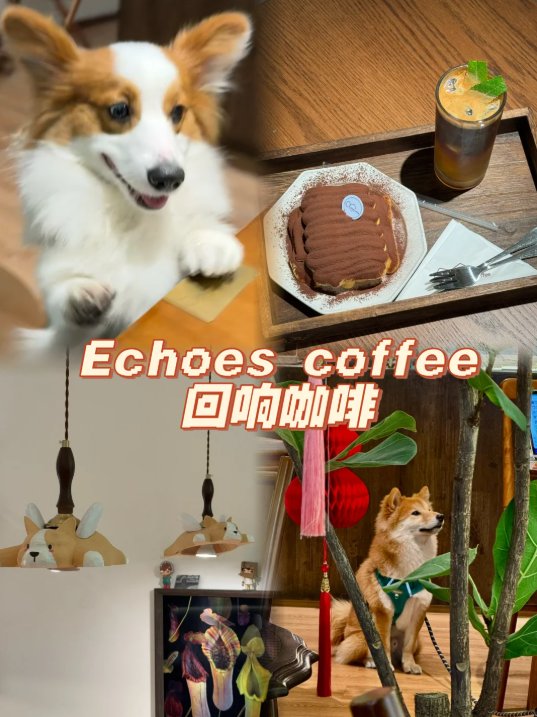 ☕珠海治愈系宠物友好咖啡馆｜和柯基 & 柴犬贴贴，喝下午茶也太幸福了🥹