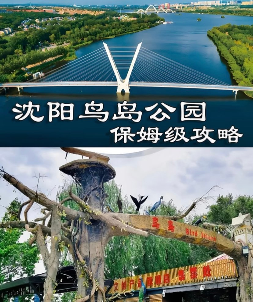 沈阳鸟岛🐦｜生态秘境·观鸟胜地