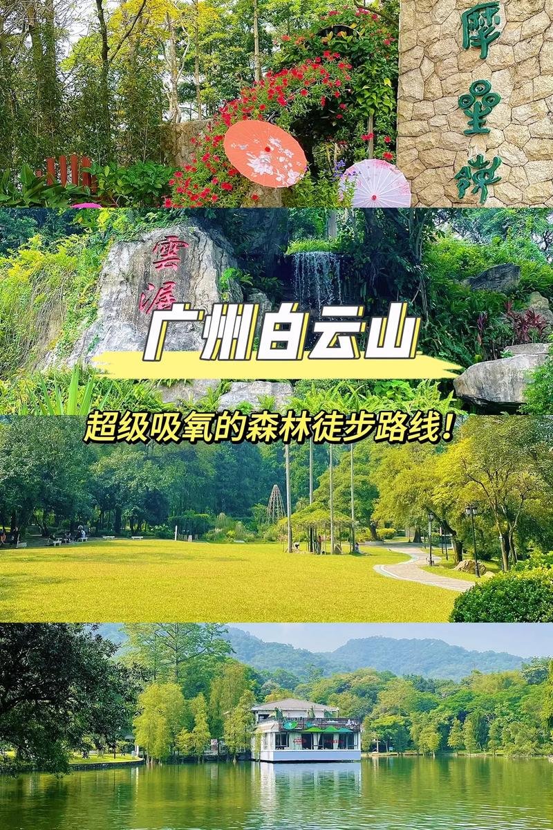 🌿白云山｜羊城第一秀天然氧吧🍃爬山吸氧全龄友好