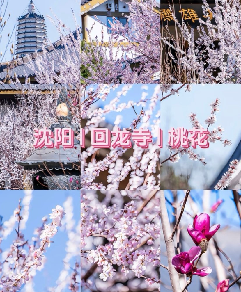 塔湾舍利塔公园🗼｜千年古塔·市井旧梦