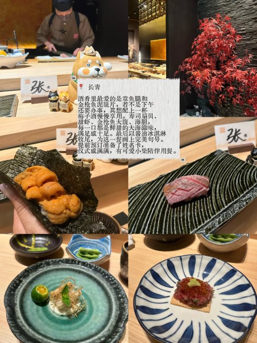 🍣珠海三家高分 omakase 日料｜板前手握爱好者宝藏清单🥳商务约会 & 日料发烧友必打卡