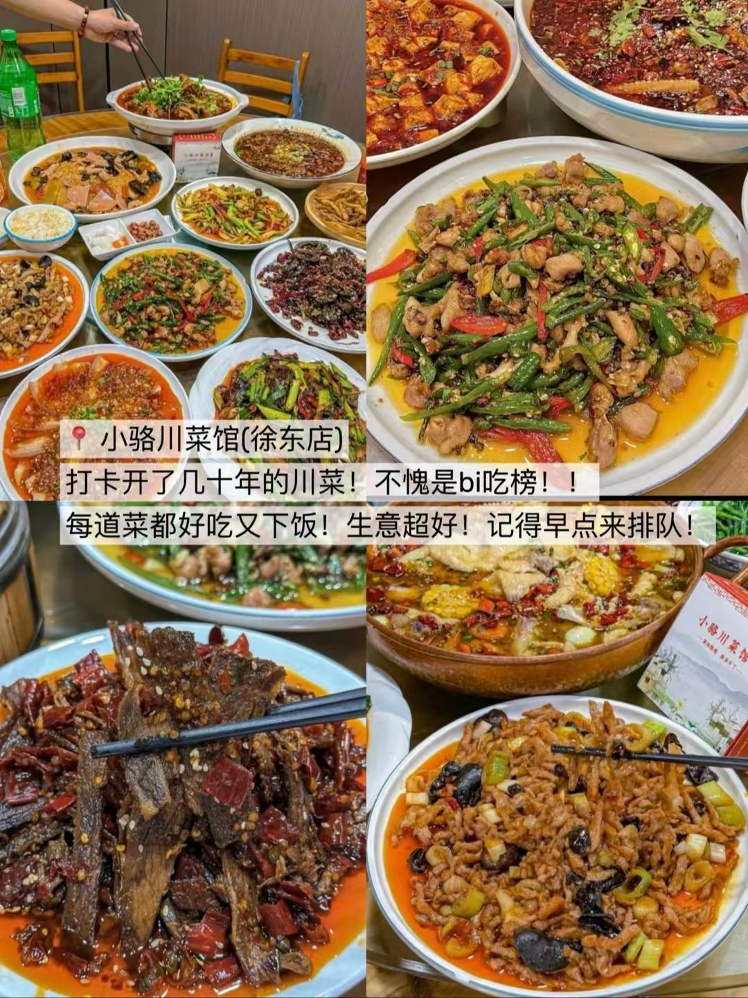徐东老牌川菜、溶洞网红火锅、手作虎皮卷甜品三家美食测评🥳