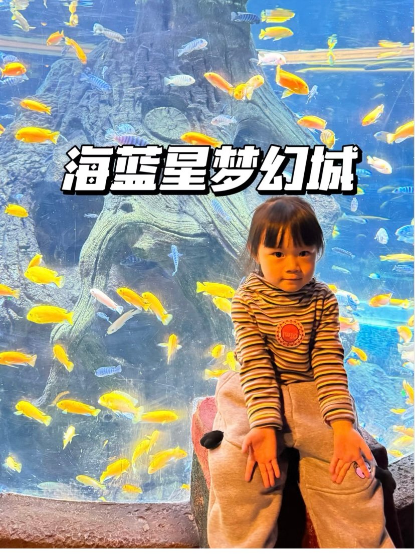 沈阳辛巴达欢乐城堡🎠｜室内乐园·亲子宝藏