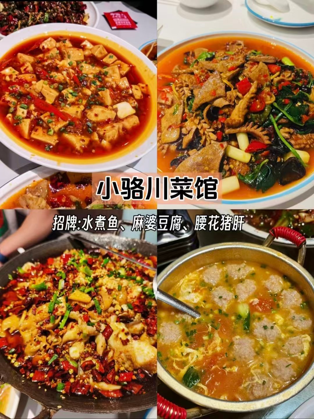 🥘三家风味菜馆全测评｜牛羊特色・地道川菜・海鲜一锅鲜