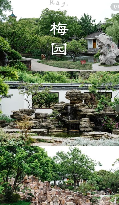 无锡梅园🌹｜江南赏梅胜地，冬日限定花海盛宴
