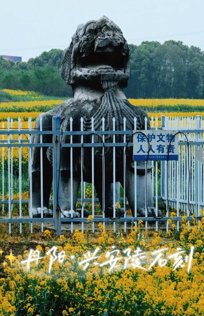 丹阳天地石刻园🗿｜石刻艺术宝库，品读千年石文化