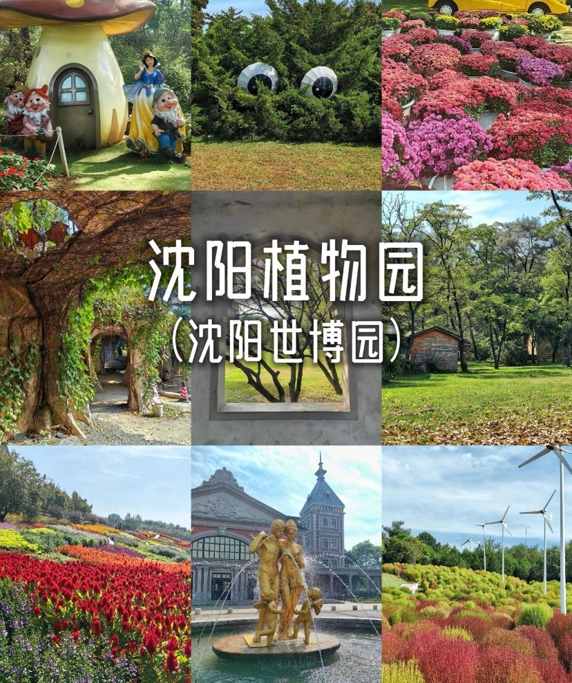 沈阳世博园🌺｜园艺博览·四季花海