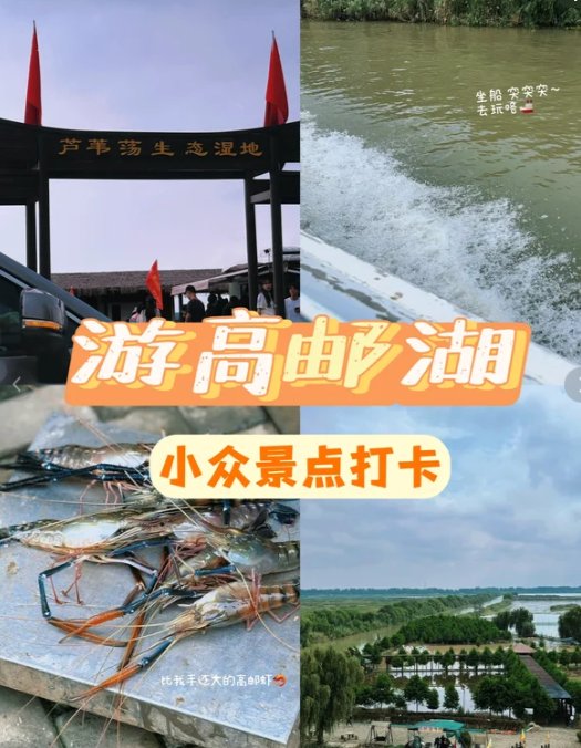 常熟沙家浜芦苇荡🎶｜红色水乡，芦苇迷宫风光