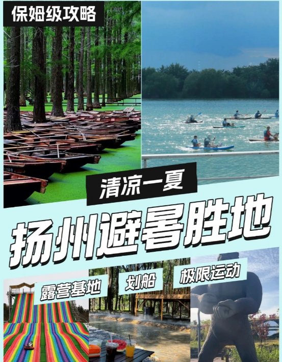 扬州凤凰岛🌳｜江岛生态秘境，亲子露营撒欢地