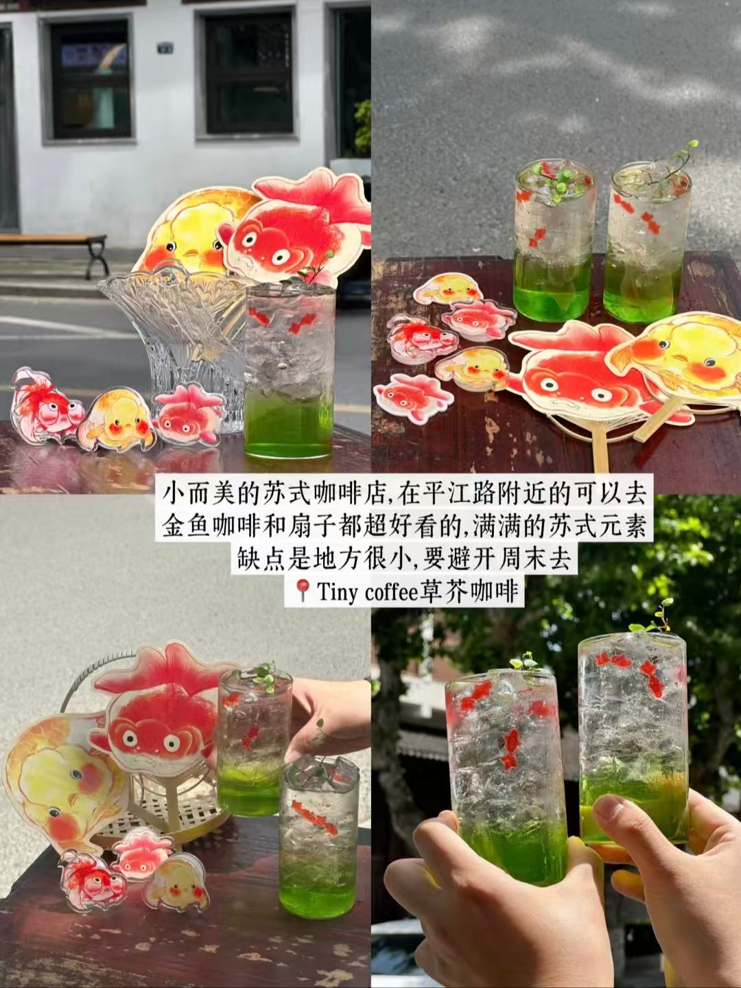 🐟苏州三类特色美食｜Tiny coffee 草芥金鱼咖啡、玖泉里韩式烤肉、莲钰朝鲜族汤饭🥳