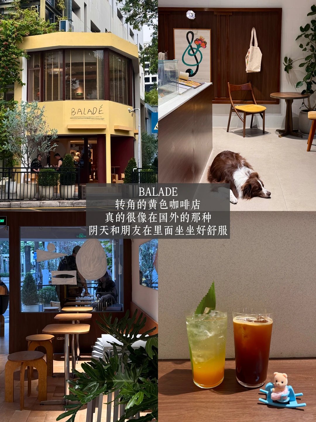☕深圳蛇口 Citywalk｜咖啡 + 美食 + 文艺街巷一站式闲逛✨本地人私藏悠闲路线