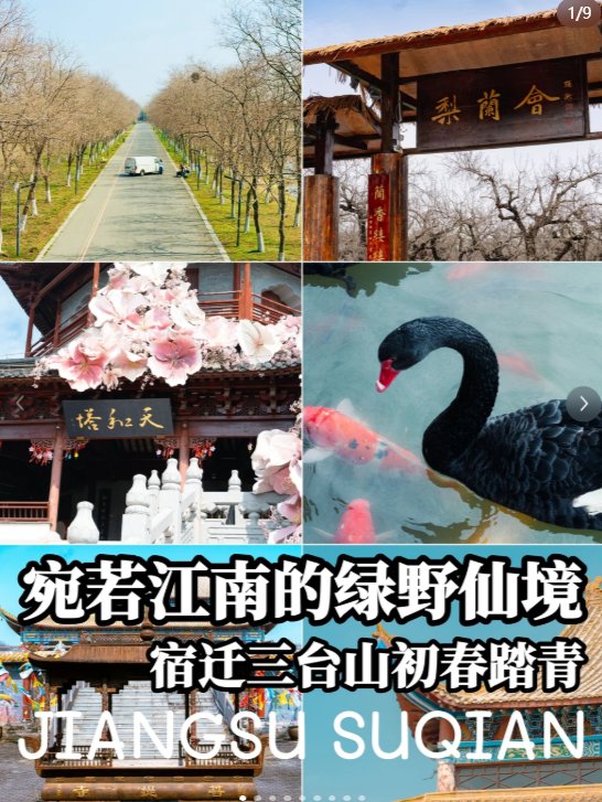 宿迁三台山国家森林公园🌸｜衲田花海，山野田园风光