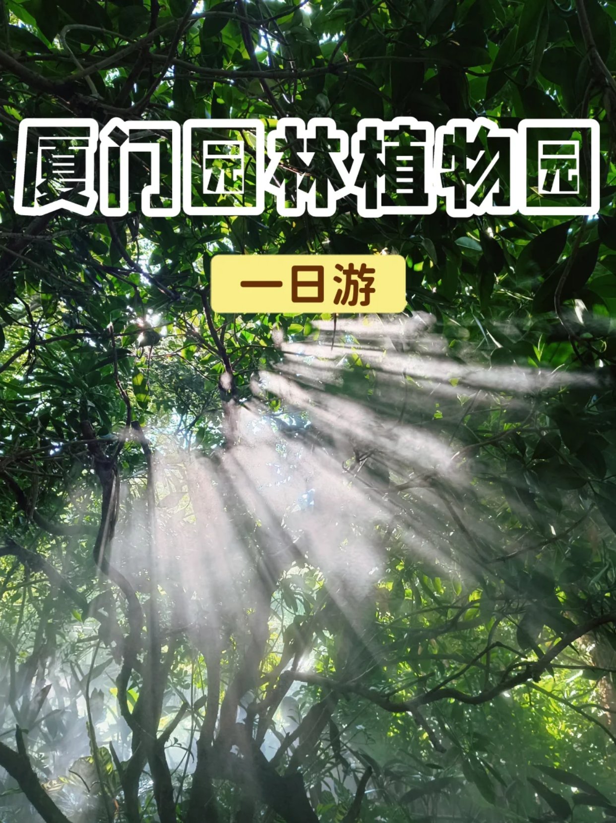 厦门园林植物园一日游