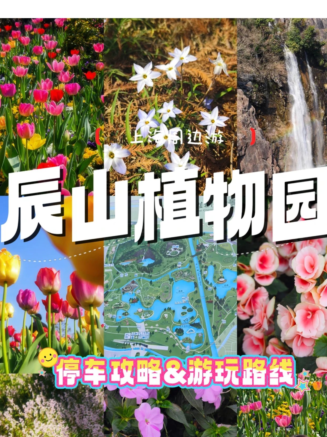 临时去🌳辰山植物园别慌！一篇告诉你要点