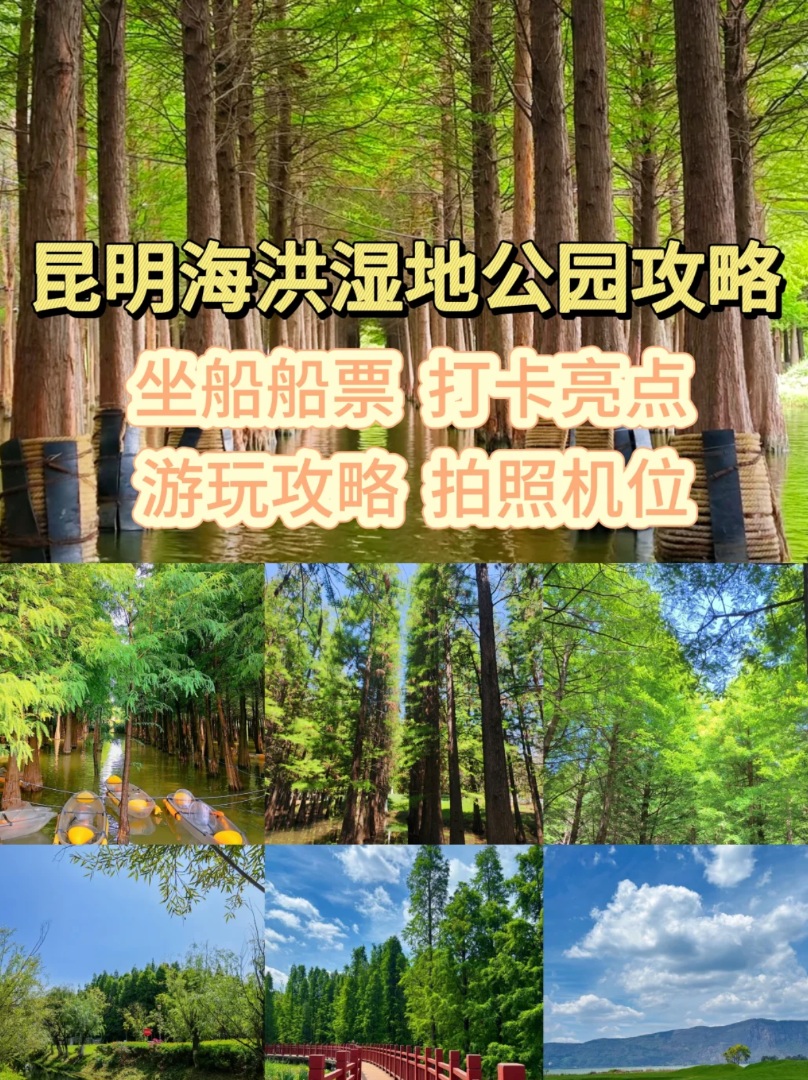 昆明海洪湿地公园：坐船船票，攻略，拍照