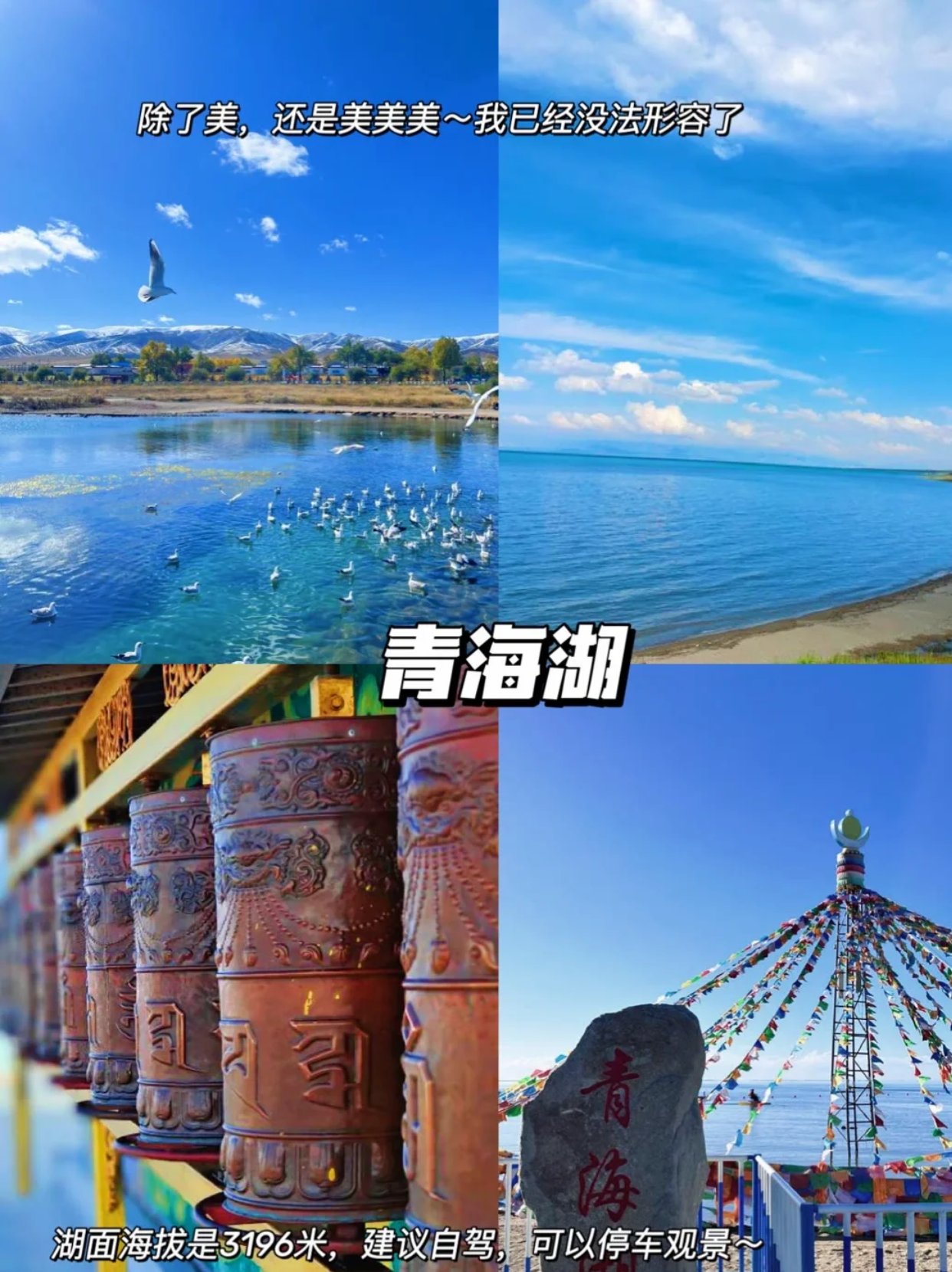 青海湖夯爆了！
