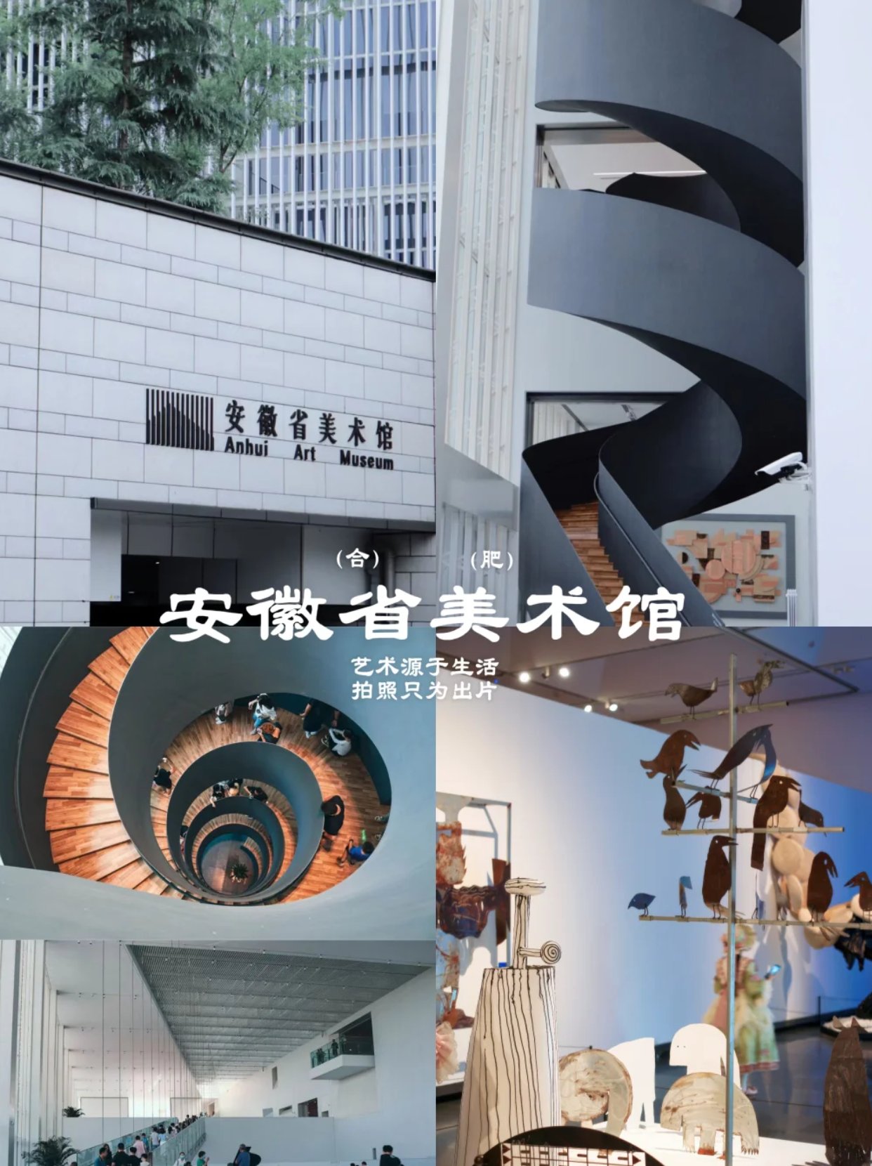 安徽省美术馆 | 你的免费艺术天堂！ ✨