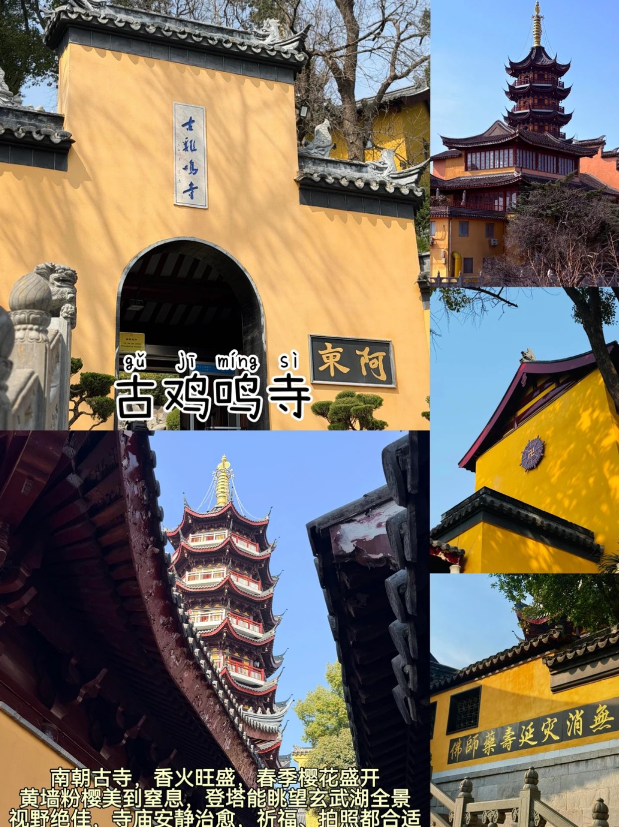 全网高呼最灵的寺庙 | 古鸡鸣寺全攻略