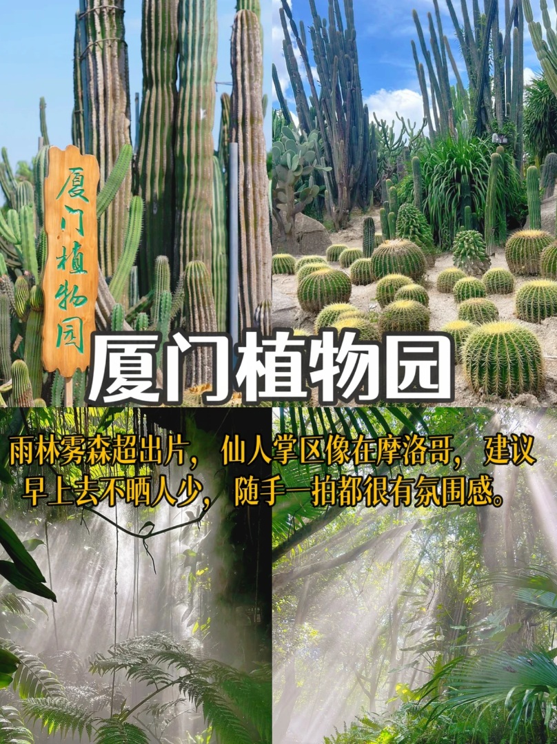 厦门植物园封神路线！少走2公里避开99%人流