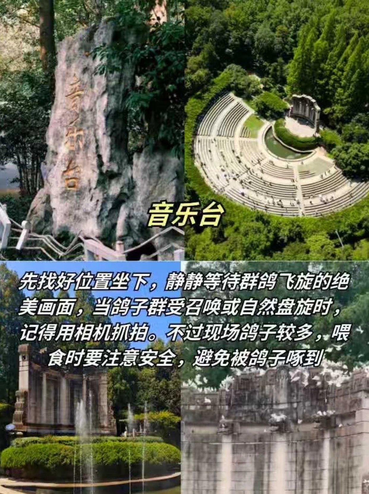 音乐台｜踏进民国露天剧场，与风听一场旧曲