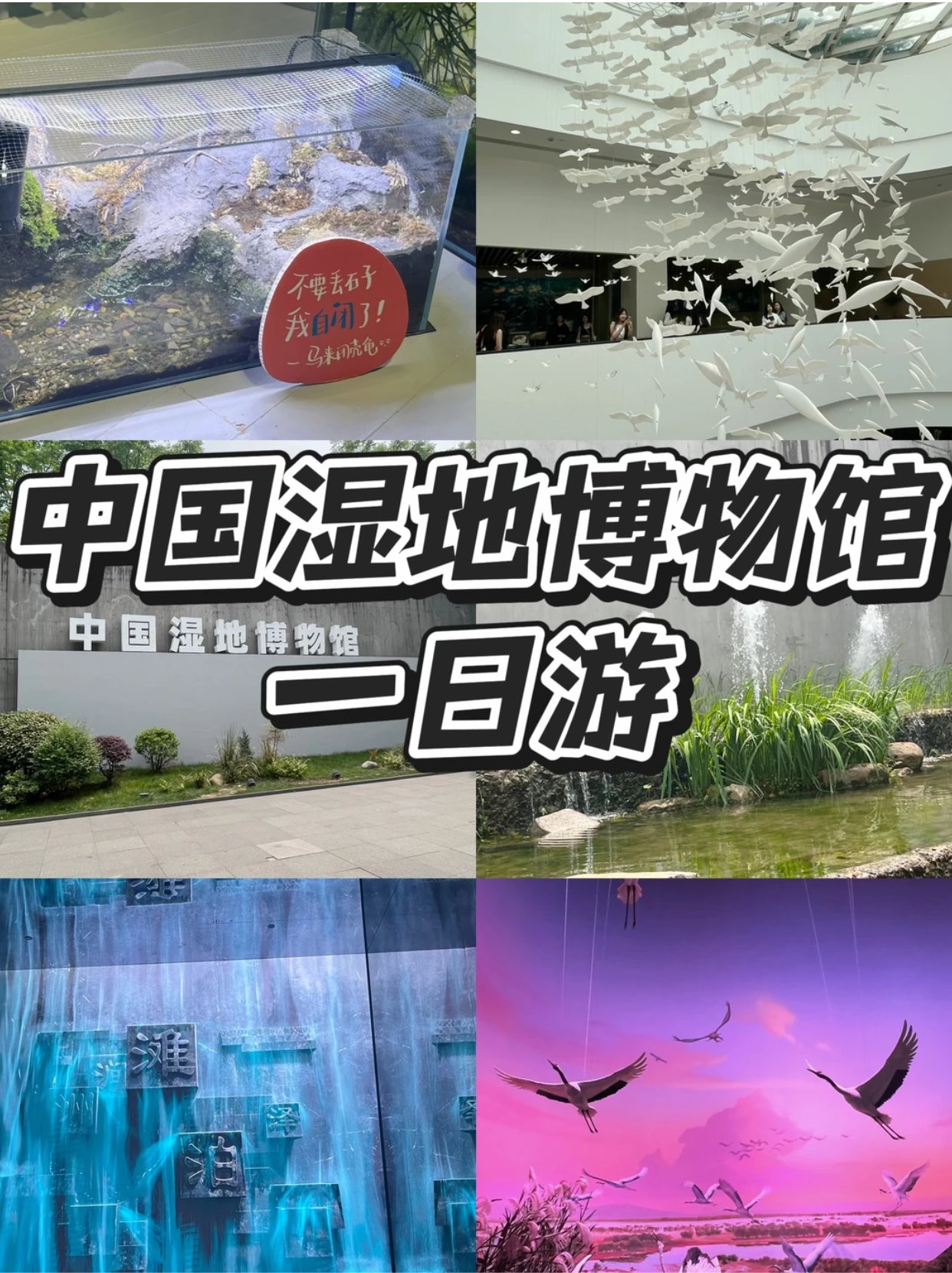 🌿杭州免费宝藏博物馆 |中国湿地博物馆🦜