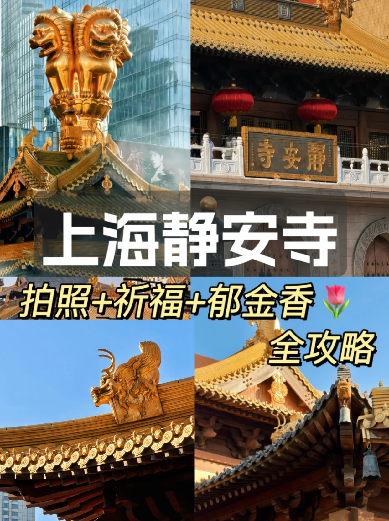 静安寺春日打卡