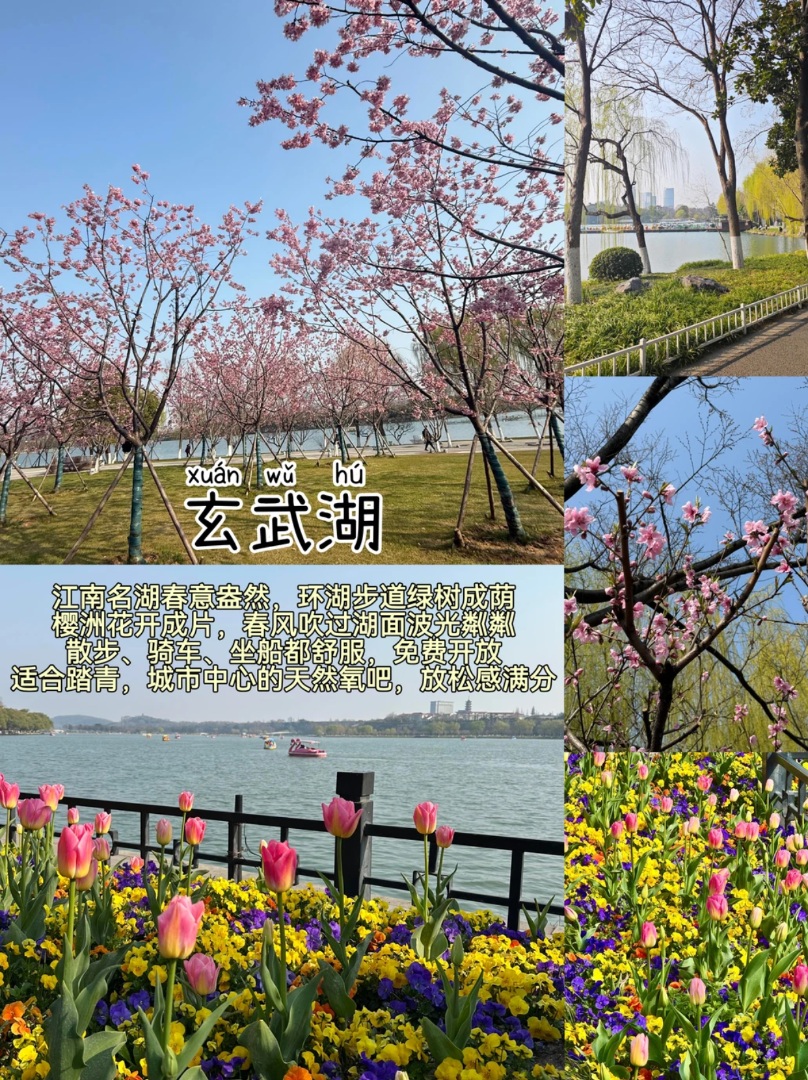 南京玄武湖保姆级｜避人从众！能省2小时攻略