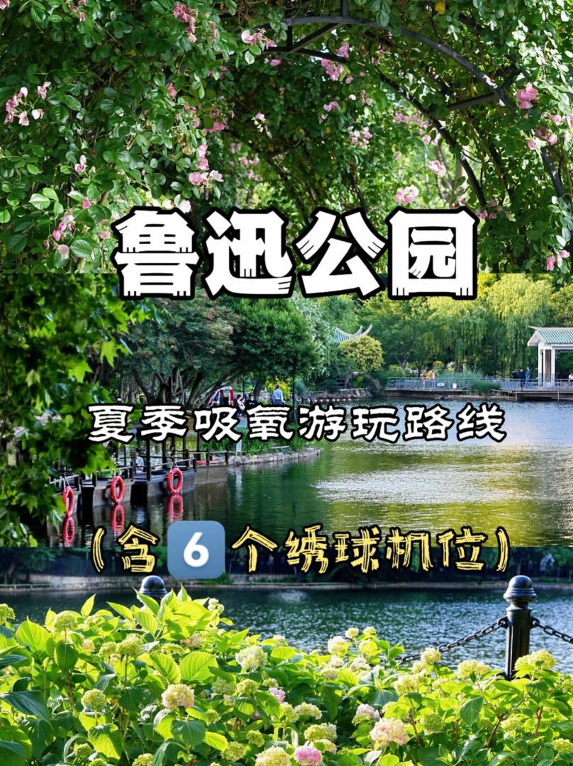 🌿上海初夏✨绣球加持的鲁迅公园绿色能量