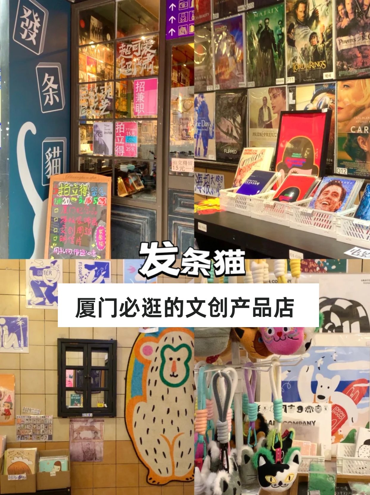 厦门探店｜发条猫艺术便利店✨