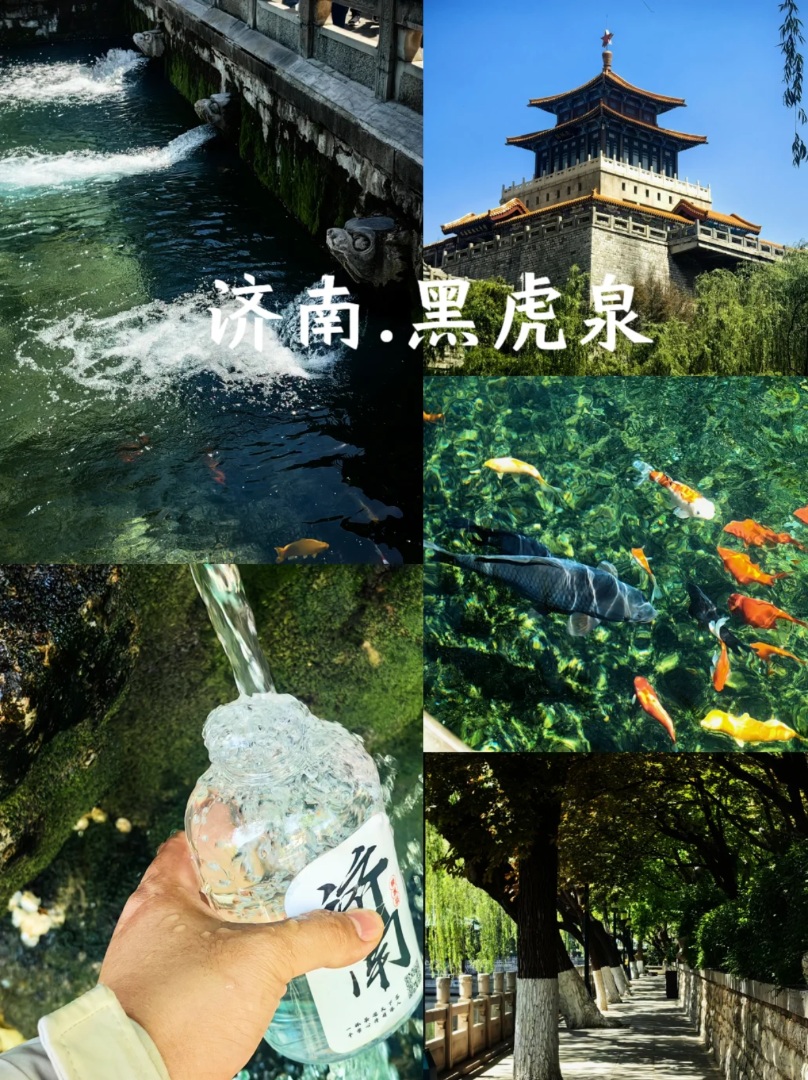 济南黑虎泉｜0元打卡！泉水私藏生活感🌊